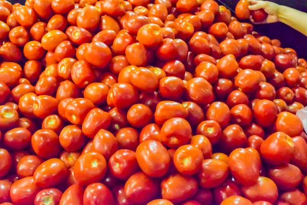 Hintergrund der frischen Tomaten — Stockfoto