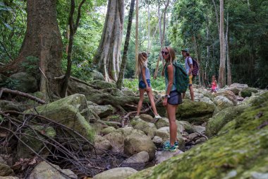 Genç turist dere birbirlerinin elele ormanda buzlu hareket ediyor 