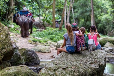Genç turist orman filler içinde belgili tanımlık geçmiş buzlu dinlenme