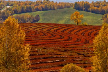 Bulutlu gökyüzü arkaplanındaki hasattan sonra alanın manzarası  