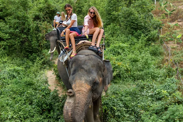 Jóvenes turistas cabalgan sobre elefantes a través de la selva —  Fotos de Stock