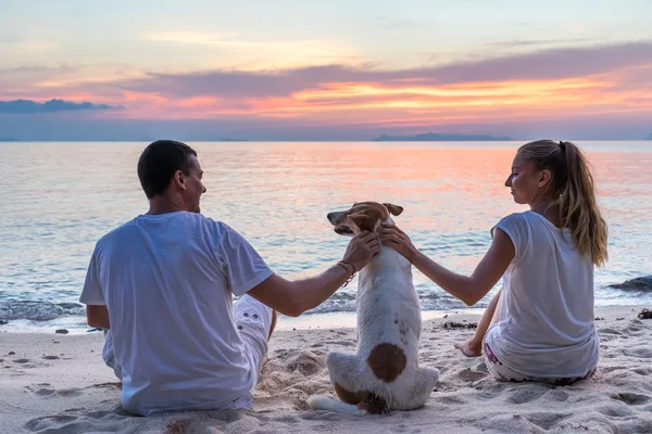 小两口带狗坐在沙滩上，看日落 — 图库照片
