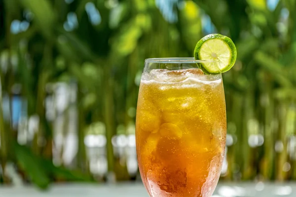 Glass of cocktail  on a background of tropical nature — Stock Photo, Image