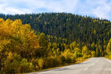 Yol bir arka planda Dağları'nın sonbaharında