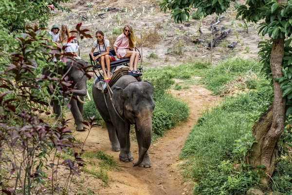 Young tourists go elephant trekking in the jungle — Stock Photo, Image