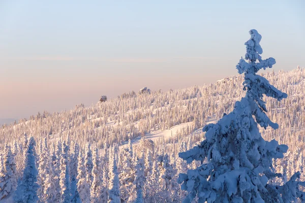 Winter view from the top of the mountain at sunset background — Stock Photo, Image