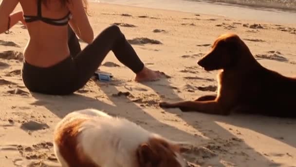 Νεαρή Γυναίκα Κάθεται Στην Παραλία Πολύχρωμο Φόντο Ηλιοβασίλεμα — Αρχείο Βίντεο