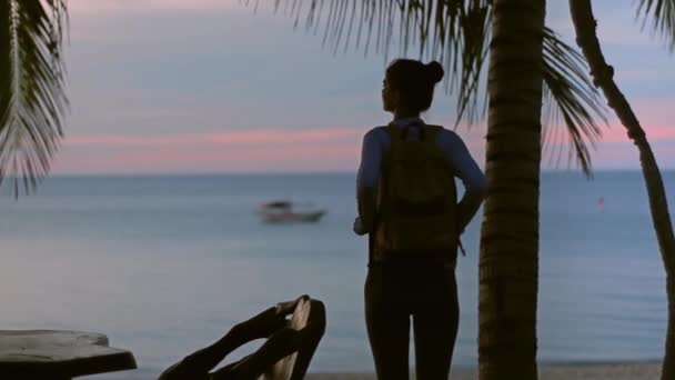 Mujer Joven Playa Sobre Fondo Colorido Puesta Del Sol — Vídeos de Stock