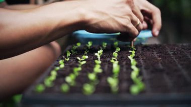 Tanınmayan adam organik çiftlikte bitki yetiştiriyor.