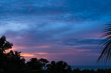 Tropikal adada ağaçların ve denizin üzerinde dramatik renkli bulutlar