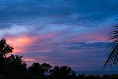 Tropikal adada ağaçların ve denizin üzerinde dramatik renkli bulutlar