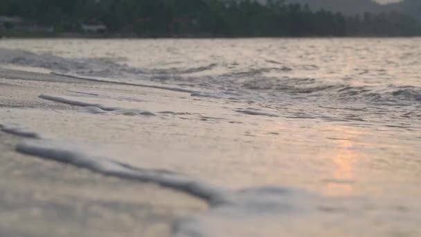 Mare Surf Sulla Spiaggia Sabbia Tropicale Alla Luce Del Tramonto — Video Stock