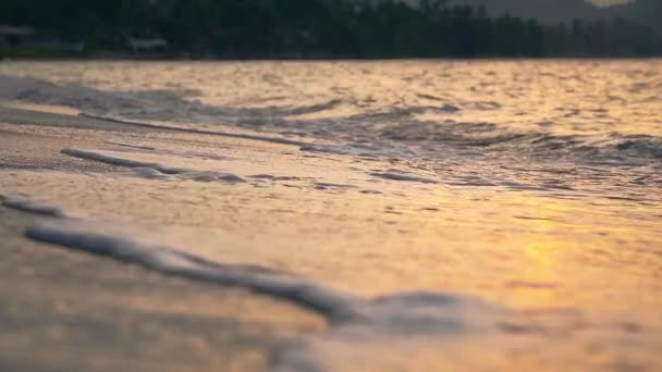 Mare Surf Sulla Spiaggia Sabbia Tropicale Alla Luce Del Tramonto — Video Stock