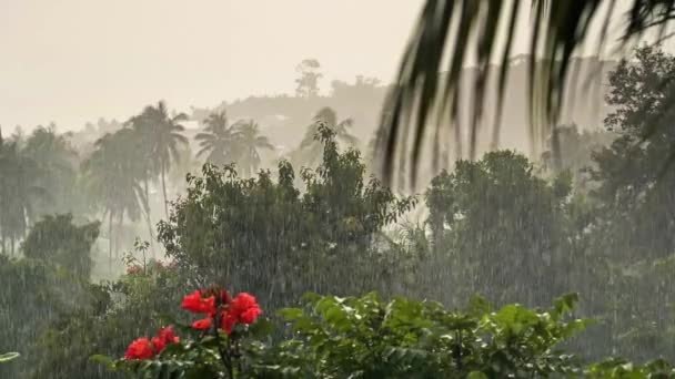 Tropikal Bir Adada Palmiye Ağaçları Kırmızı Çiçekler Deniz Dağ Üzerine — Stok video