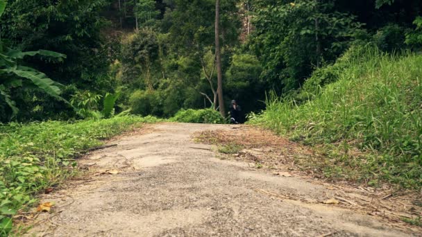 Hombre Caminando Montañas Con Perro — Vídeos de Stock