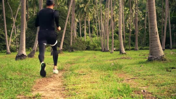 Atletisk Kaukasisk Man Svarta Träningskläder Och Mössa Löper Gräsbevuxen Palmäng — Stockvideo