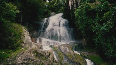 Güneşli bir günde, tropikal bir adada, ormandaki şelaleyi kapat.
