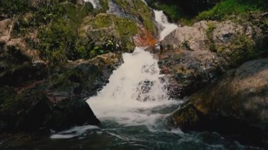 Güneşli bir günde, tropikal bir adada, ormandaki şelaleyi kapat.