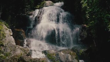 Güneşli bir günde, tropikal bir adada, ormandaki şelaleyi kapat.