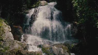 Güneşli bir günde, tropikal bir adada, ormandaki şelaleyi kapat.