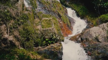 Güneşli bir günde, tropikal bir adada, ormandaki şelaleyi kapat.