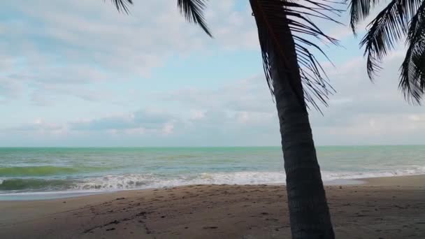 Surf Ondas Uma Praia Tropical Areia Folhas Palma Primeiro Plano — Vídeo de Stock