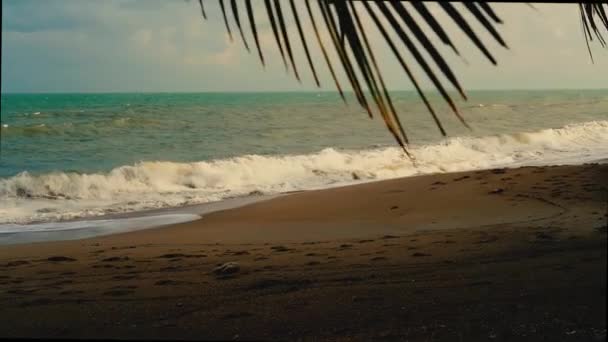 Brandung Und Wellen Einem Tropischen Sandstrand Palmblätter Vordergrund — Stockvideo
