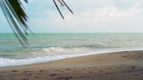 热带沙滩上的潮水和波浪 棕榈叶的前景 — 图库视频影像