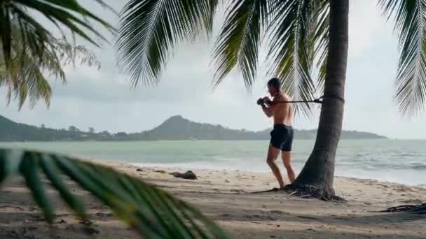 Atletisk Kaukasisk Man Shorts Tåg Slår Till Sandstrand Palmer Med — Stockvideo