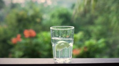 limon dilimi suya düşüyor.