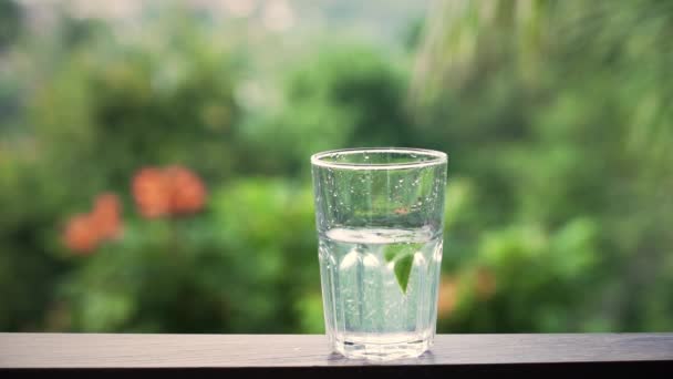 Man Die Limoenschijfje Water Doet — Stockvideo