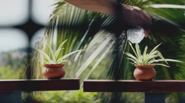 Adam saksıda bitki suluyor. 