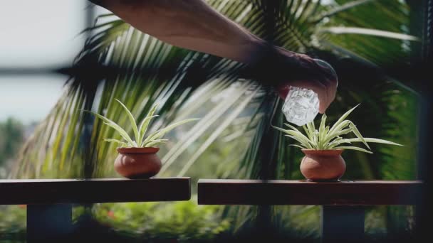 Homem Regando Plantas Vasos — Vídeo de Stock