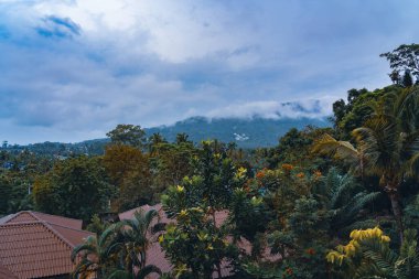 Sabahları en kirli şehirlerin adasının güzel manzarası.