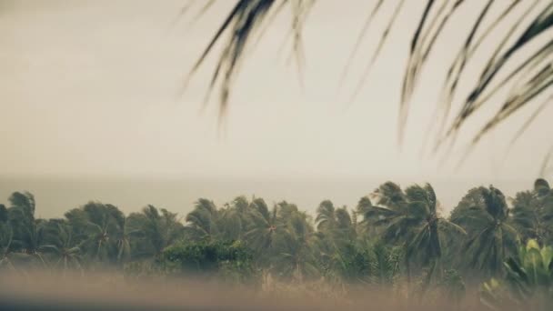 Niederschlag Über Palmen Meer Und Bergen Auf Einer Tropischen Insel — Stockvideo
