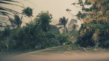 Tropikal bir adada palmiye ağaçları, deniz ve dağların üzerine yağar.  