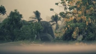 Tropikal bir adada palmiye ağaçları, deniz ve dağların üzerine yağar.  