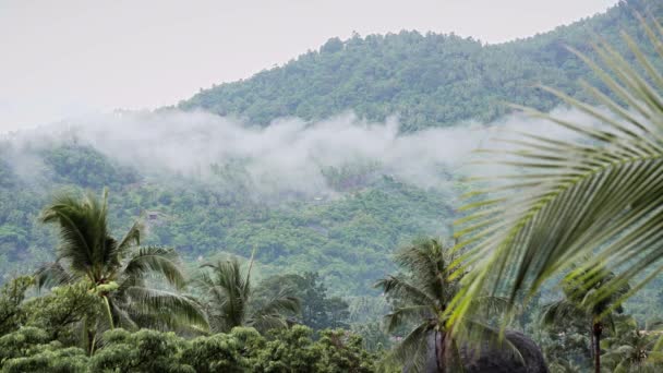 Дождь Над Пальмами Морем Горами Тропическом Острове — стоковое видео