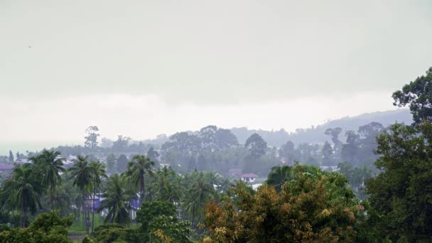 Esőzés Pálmafák Tenger Hegyek Felett Egy Trópusi Szigeten — Stock videók