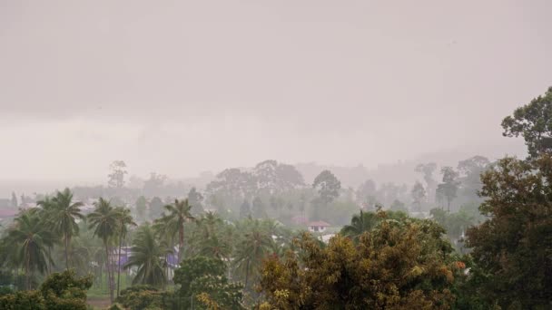 Tropikal Bir Adada Palmiye Ağaçları Deniz Dağların Üzerine Yağar — Stok video