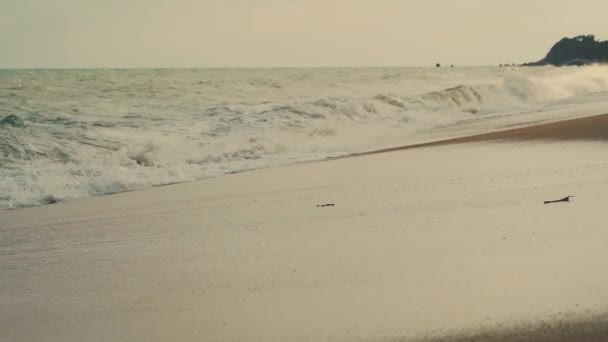 Surf Onde Una Spiaggia Sabbia Tropicale — Video Stock