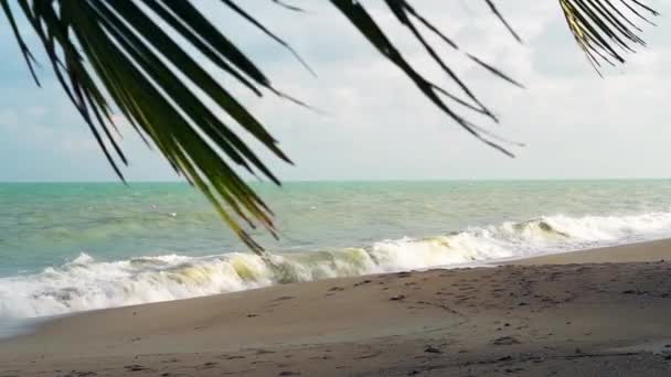 Surf Ondas Uma Praia Tropical Areia Folhas Palma Primeiro Plano — Vídeo de Stock