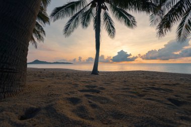 Renkli gündoğumunda tropik kumlu plaj. Hindistan cevizi palmiyeleri ön planda.