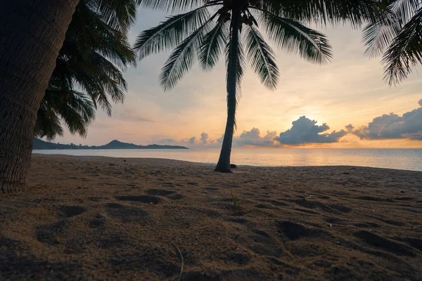 Tropická Písečná Pláž Barevného Východu Slunce Kokosové Palmy Popředí — Stock fotografie