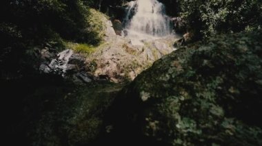 Güneşli bir günde, tropik bir adada, ormanda şelale.