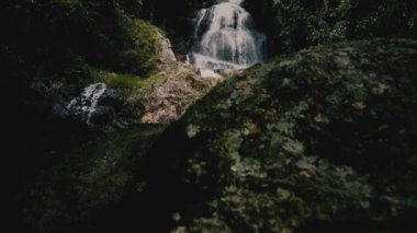 Güneşli bir günde, tropik bir adada, ormanda şelale.