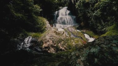 Güneşli bir günde, tropik bir adada, ormanda şelale.