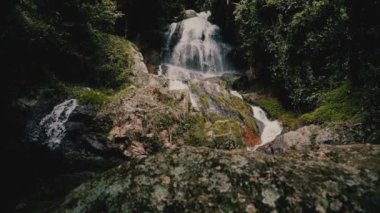 Güneşli bir günde, tropik bir adada, ormanda şelale.