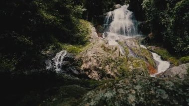 Güneşli bir günde, tropik bir adada, ormanda şelale.