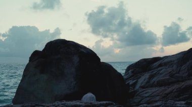 Genç çekici adam sahilde yürüyor. 